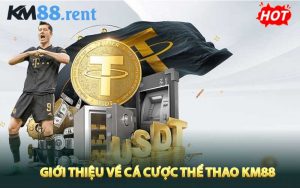 Giới thiệu về cá cược thể thao KM88 